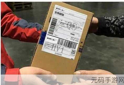 快递员的特殊待遇3：1. 快递员的特殊待遇：背后的故事与真相