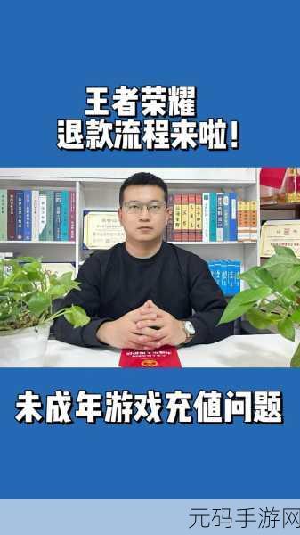 王者荣耀注销账号退款之谜,全面解析退款流程与可能性