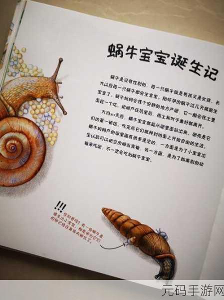 最强蜗牛共鸣图鉴新版本揭秘,探索未知奇妙世界的全新冒险