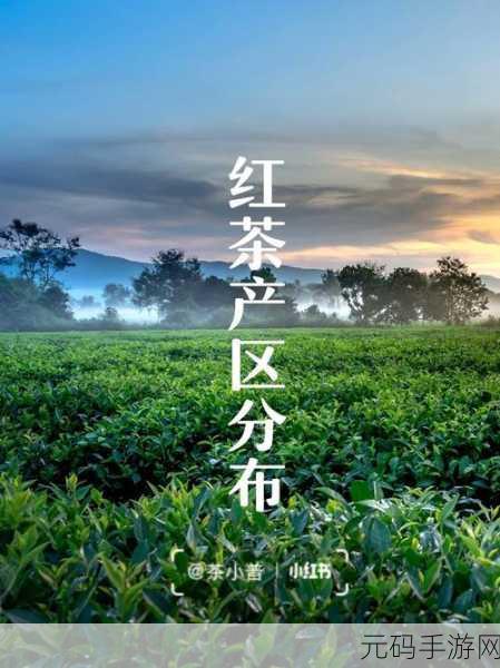 91精产国品一二三产区区别免：1. 深入解析91精产国品一二三产区的特色与差异