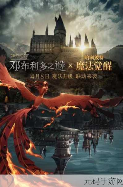 手游资讯，哈利波特魔法觉醒——探寻光轮2000及其碎片的神秘之旅