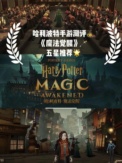 手游资讯，哈利波特魔法觉醒——探寻光轮2000及其碎片的神秘之旅