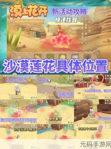 摩尔庄园手游,白熊家园深度探索与喜好物品全攻略