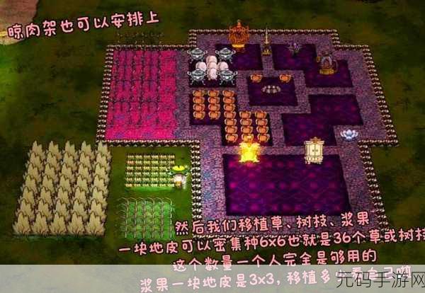 饥荒新家园,快速提升家园等级秘籍大公开