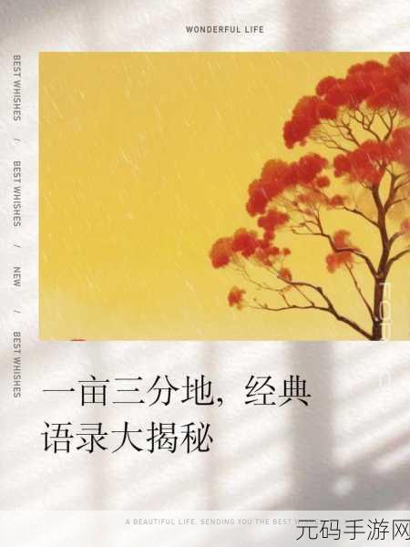 儿耕妈荒废的田:1. 从荒废田地到丰收梦想:儿耕妈的奋斗历程