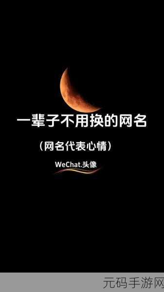 永久在线地域网名入口:1. 永久在线:探索地域网名的无限可能