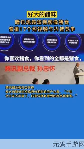 腾讯副总裁猪食论:1. 《从猪食论看企业创新与发展之道