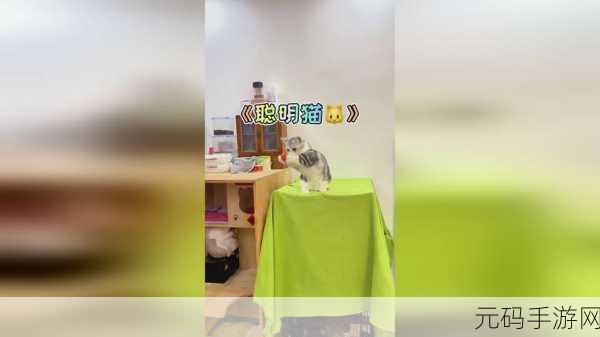 卡一卡二老狼信息网仙踪林:1. 探索卡一卡二老狼信息网的无限可能性