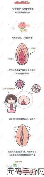 日韩羞羞动画!!!:1. 《奇妙冒险:禁忌之境的秘密