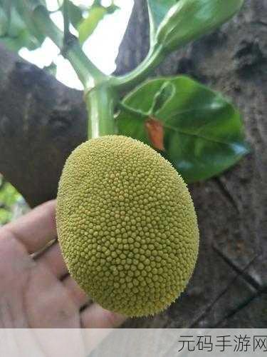 菠萝菠萝蜜在线:1. 菠萝菠萝蜜:甜美滋味的奇幻之旅