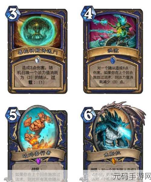 炉石传说黑龙进化萨卡组深度解析与实战应用