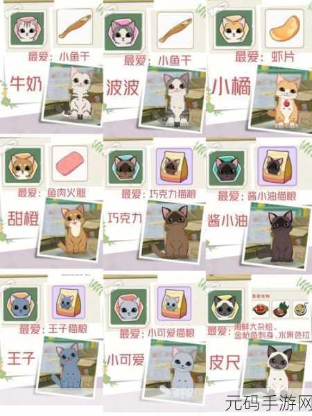小森生活亲密度提升攻略,赠花选项详解