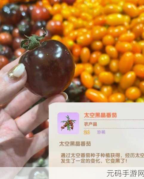 摩尔庄园手游，农产品光速成熟秘籍大公开