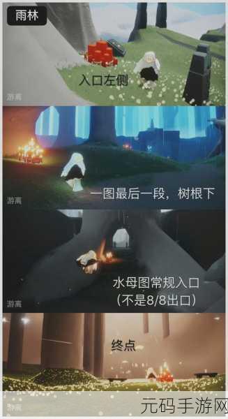 Sky 光遇,探秘雨林地图,寻找樱花小树苗的神秘踪迹