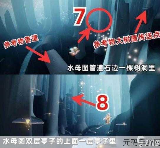 Sky 光遇,探秘雨林地图,寻找樱花小树苗的神秘踪迹