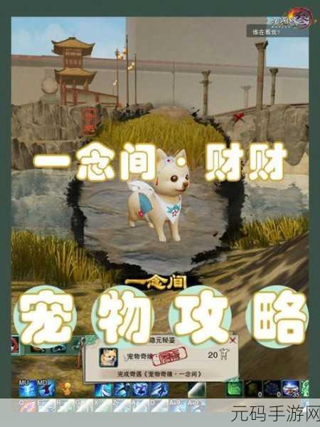 剑网 3 路投石宠物奇遇全攻略,带你轻松拿下