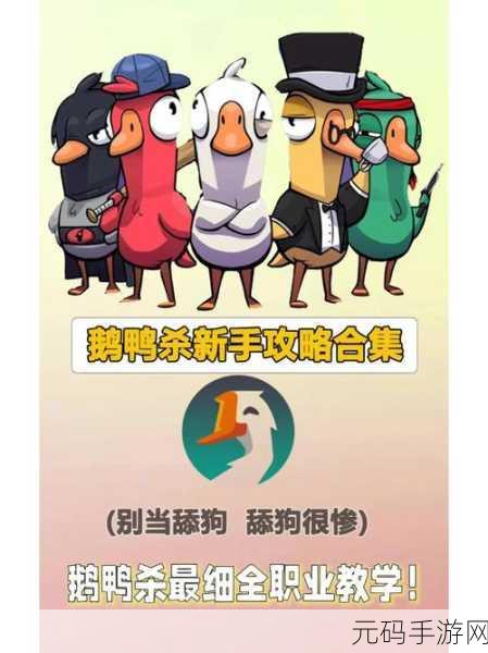太空鹅鸭杀告密玩法全攻略,技巧与策略大揭秘