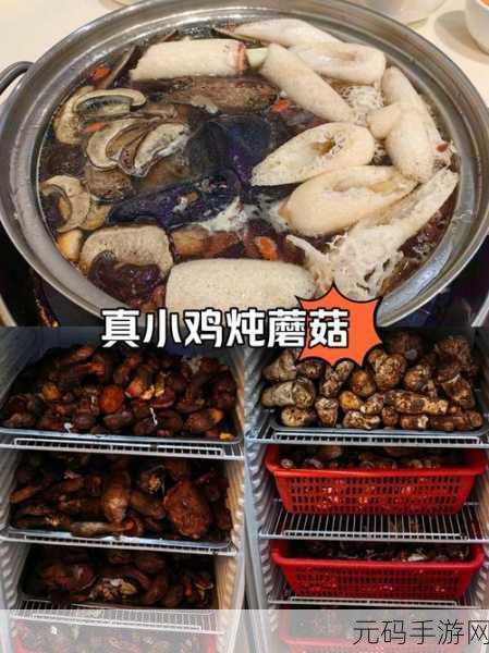 原神秘境之甜馨果酒湖，独家配方制作揭秘与味蕾盛宴