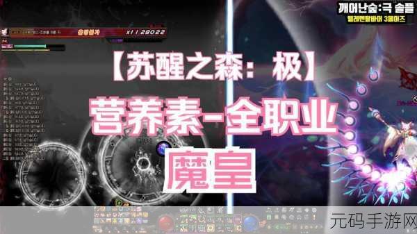 DNF苏醒之森版本专家加点秘籍与玩法全攻略