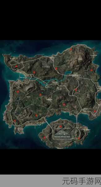 绝地求生泰戈地图鸟群翱翔之谜,背后的意义与策略指引