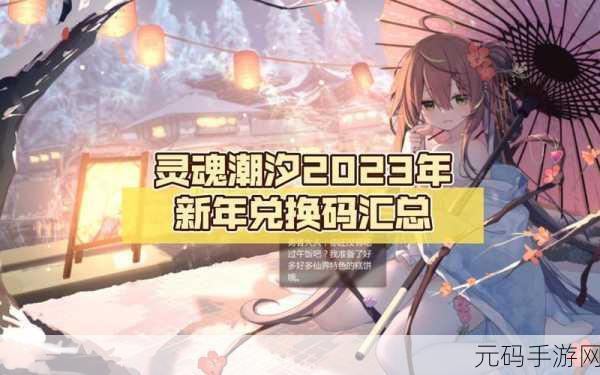 探秘灵魂潮汐兑换码的正确使用之道