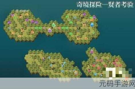 剑与远征贤者考验通关秘籍,奇境探险最佳路线指南