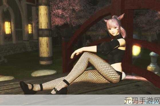 FF14补丁使用指南，全面解析安装与使用步骤