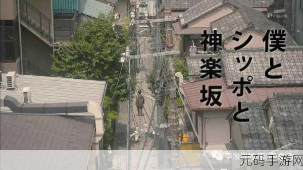 绝区零,攻克毛茸茸新朋友任务的秘籍指南