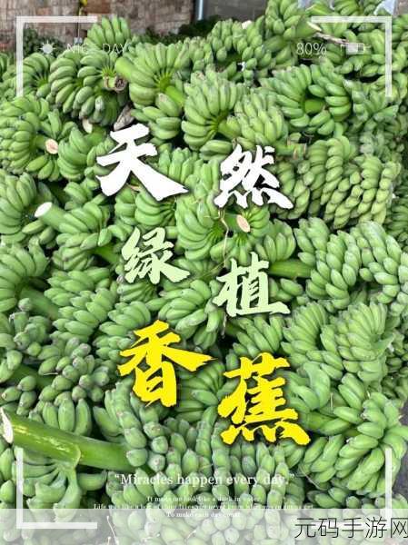 81香蕉视频:1. 81香蕉视频:探索生活中的乐趣与奇迹