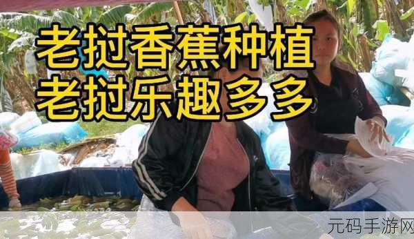 81香蕉视频:1. 81香蕉视频:探索生活中的乐趣与奇迹