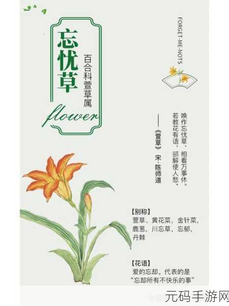 日本忘忧草乱码一二三四区别:以下是一些基于“日本忘忧草乱码一二三四”的新标题建议: