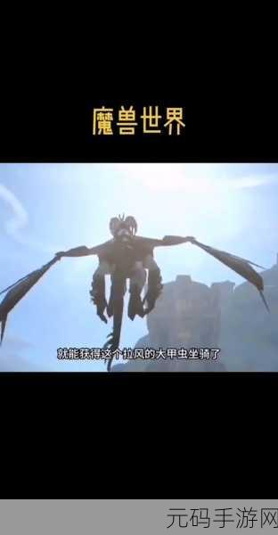 蛛魔几丁质：1. 蛛魔几丁质的独特构造与应用前景