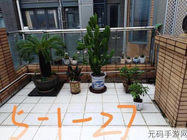 gdcm_aff:cZSMv:当然可以!以下是一些基于“gdcm_aff:cZSMv”拓展出的新标题,字数不少于10个: