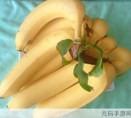 体育外包公司黄色软件香蕉视频：1. 体育外包新时代：香蕉视频助力赛事转播