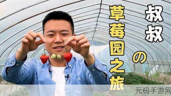 草莓视频69CmtV:1. 草莓视频:发现生活中的小乐趣与精彩瞬间