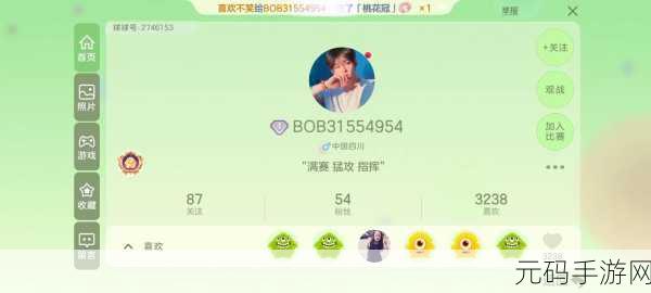 球球大作战赛季大数据查看秘籍,解锁你的竞技之路