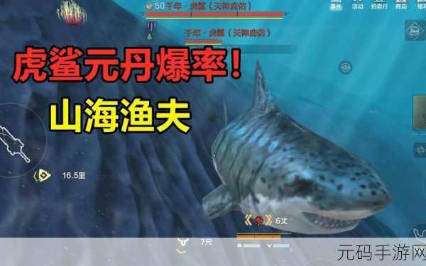 手游资讯,探索妄想山海千年虎鲨的神秘踪迹
