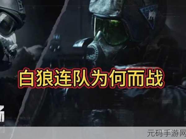 手游资讯,暗区突围——黑金国际与白狼连队装备对比解析