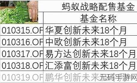 手游资讯,蚂蚁配售基金退款流程详解及影响分析