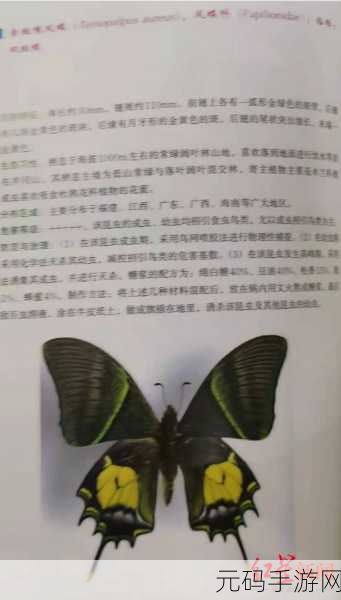 泰拉瑞亚手游,动物与昆虫高效捕捉技巧全解析
