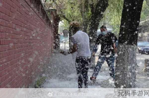 没带罩子c了一天:1. 没带罩子的日子:自由与尴尬的交织