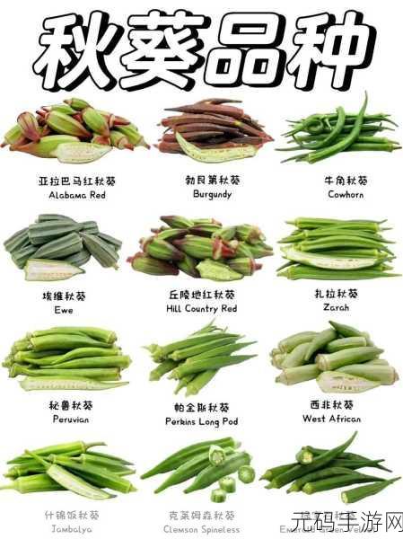 丝瓜秋葵草莓香蕉榴莲绿大全:1. 丝瓜秋葵的营养价值与健康益处探秘