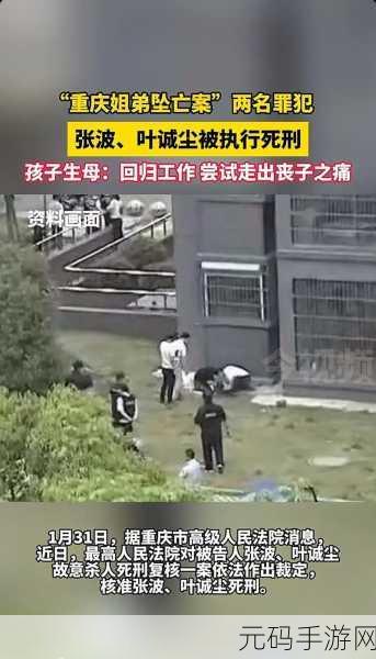 天网恢恢正确答案一肖:1. 天网恢恢,法网难逃:正义终将到来
