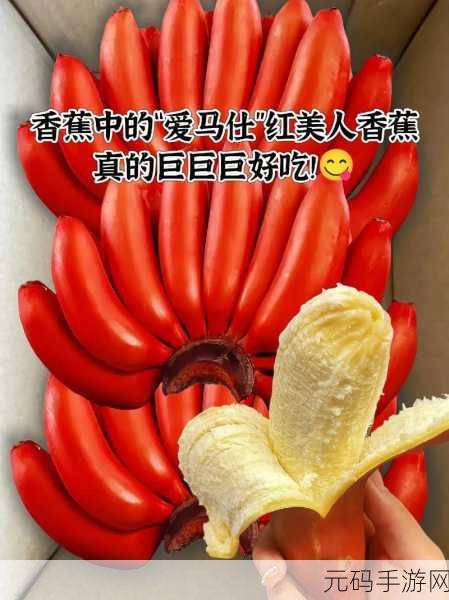 911精品产国品一二三产香蕉:1. 优质香蕉源自全球,尽在911精品产国