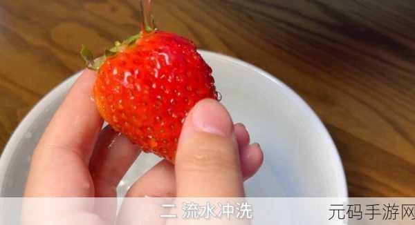 草莓视频100000部在线视频:1. 草莓视频:探索无尽的精彩在线视频世界