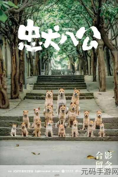 我的老公是条狗白珍丽：1. 我的老公是条狗：爱与忠诚的奇妙旅程