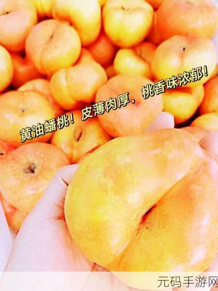 久久水密桃:1. 探秘久久水密桃的独特风味与营养价值