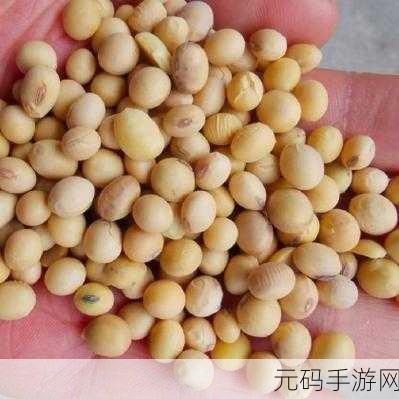 欧美破苞系列二十六大豆行情:1. 欧美破苞系列二十六大豆行情深度分析
