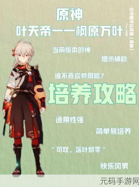 枫原万叶抽取指南与角色培养建议,原神手游资讯