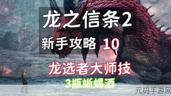 龙之信条2蜥蜴酒获取攻略,全面解析与入手方法分享